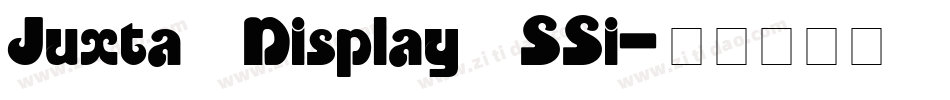 Juxta Display SSi字体转换